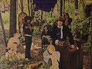 The Little Boy Blues-In The Woodland Of Weir-Fontana 67578-GARAGE PSYCH