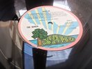 The Bunch 1972 UK Sandy Denny MINT- W/Flexi LP STUNNING