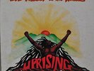 Bob Marley & The Wailers Uprising Japan LP 1980 Polystar 20S-89 Insert