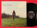 RAINMAN Frank Nuyens Q65 1971 Solo LP FOLK PSYCH Negram Original Netherlands