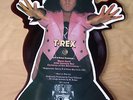T REX METAL GURU 20TH CENTURY BOY CHILDREN OF THE REVOLUTION VINYL Picture Disc