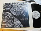 THE SUNDAYS Reading Writing And Arithmetic 1990 SPAIN pr LP Orig OOP rough trade