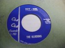 The ILLUSIONS I've Had Enough/Boy Girl [Garage] 45 RPM  Cha Cha Records VG+