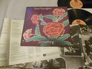 Todd Rundgren - Something Anything POSTER LP - Bearsville - 2BX 2066 - Blues Roc