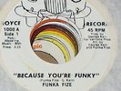 RARE FUNK Funka Fize Because You're Funky b/w No Words 45 Shiny NM Royce Orig