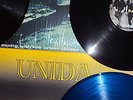 Unida 3LP Coping with the urban coyote The Great Divide Vinyl Kyuss Queens Björk