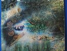 DISCO 33 GIRI LP 12