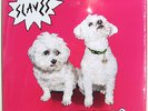 SLAVES LP Are You Satisfied 2015 Vinyl Debut album SEALED