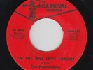 Sweet Soul 45 - Pretenders - I'm The One Love Forgot - Carnival - VG++ mp3