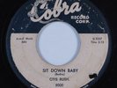 Blues R&B 45 OTIS RUSH Sit Down Baby COBRA HEAR
