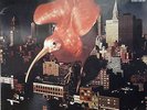 PINGUIN  LP Der grosse rote Vogel-Super Rar-Germany Krautrock 1972  Top Zustand