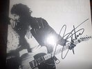 BRUCE SPRINGSTEEN / BORN TO RUN / LP VINYL
