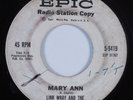 Rockabilly 45 LINK WRAY & WRAYMEN Mary Ann EPIC HEAR