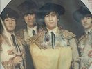 THE BEATLES - TIMELESS  LTD. EDT. PICTURE DISC 12
