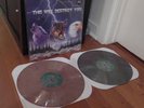 THIS WILL DESTROY YOU SELF TITLED VINYL 2xLP