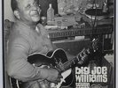 BIG JOE WILLIAMS - Tough Times - LP - Arhoolie Records