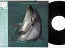 JOE LEE WILSON HEY LOOK AT YOU EAST WIND EW-8034 Japanese Pressing PROMO OBI LP