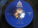 THE OVATIONS rare They Say northern soul CDN Bell 45 LISTEN