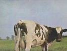 PINK FLOYD ATOM HEART MOTHER QUAD UK LP quadraphonic british Copy