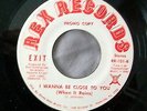 EXIT-Blow It Out/I Wanna Be Close To You/REX 101/Funk/ Soul/R&B/45rpm-wlp promo