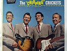 CRICKETS Chirping ORIG 12