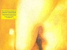 Smashing Pumpkins Pisces Iscariot Limited Edition 180gm vinyl 2LP