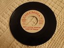 TEEN  BARRY DE VORZON HEY LITTLE DARLIN/ROSEMARY COLUMBIA 41612 PROMO M-