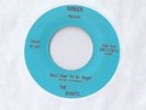 THE AVANTIS Next door to an Angel 45 RECORD RARE PRIVATE MN DOO WOP listen