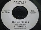 OG Promo 45: Hale & The Hushabyes  Yes Sir, That's My Baby  Brian Wilson -Apogee