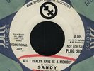 Sandy Salisbury-All i really have is a memory 45 Great first 45 CURT BOETTCHER