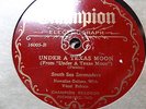 South Sea Serenaders  Champion 16005 78 rpm  Hawaiian Guitar