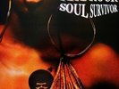 PETE ROCK - SOUL SURVIVOR - 2 LP VINYL ALBUM - US ORG '98 -   Tru Master