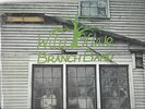 WILD OLIVE BRANCH BAND XIAN FOLK ROCK LP THROUGH A GLASS DARKLY EX  IN SHRINK