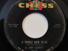 JO ANN GARRETT-A WHOLE NEW PLAN /STAY BY MY SIDE-NORTHERN 45 on CHESS