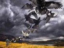 David Gilmour-Rattle That Lock Vinyl / 12