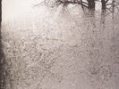 Bon Iver For Emma Forever Ago New Vinyl LP