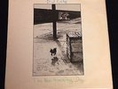 B. J. Cole The New Hovering Dog 1972 UK Pecko Porky Folk Psych Classic