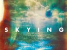 The Horrors - Skying LP Vinyl NEW sealed.