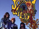 JOKERS WILD 