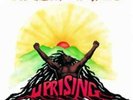 Bob Marley and The Wailers-Uprising Vinyl / 12
