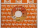 BRUCE SPRINGSTEEN - Cubreme / Estoy ardiendo -  COSTA RICA PROMO 45