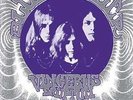 Blue Cheer - Vincebus Eruptum (2010, Vinyl NEW)