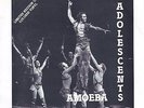 THE ADOLESCENTS Amoeba (1980) 7” Single  Posh Boy  RE-ISSUE  PUNK