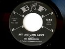DANDERLIERS MY AUTUMN LOVE VG++ B AND F   DOO WOP 45