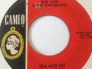 SURF HOT ROD 45/ BOB SLED & TOBOGGANS (BEACH BOYS) 