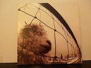 PEARL JAM  Vs  (LP 1ºedición USA)