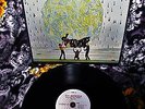 1969 ORIG   DAY BLINDNESS   WEST COAST = DOORS S.F. SOUND Hard Heavy FUZZ Psych