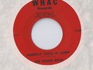 THE DOZIER BOYS Someday You'll Be Sorry 45 RECORD RARE CHICAGO DOO WOP WHAC