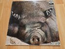 Kin Ping Meh 2 Original Zebra 1972