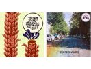 State Champs And The Story So Far Pop Punk Vinyl Set